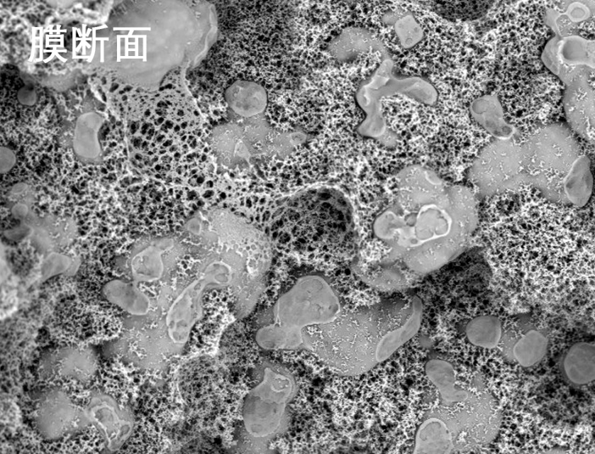 抖圈人生就是搏燒結管式膜電鏡照片 抖圈人生就是搏燒結管式膜電鏡照片